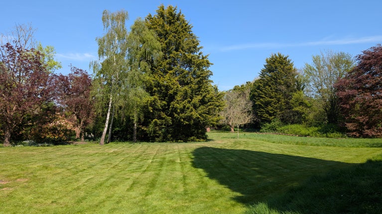 The south meadow at Grantha House is a wide green expanse with various trees of red and green foliage at the far end